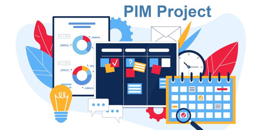 Dominar a gestão de projectos PIM